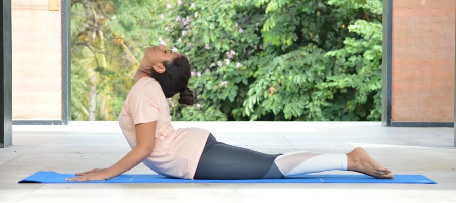 Bhujangasana